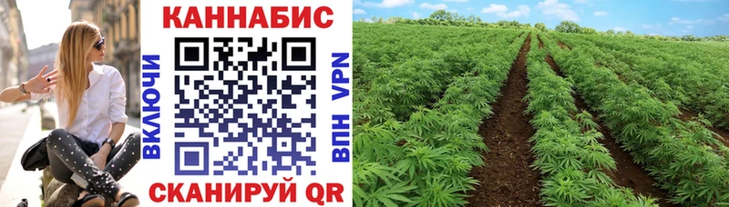 Как найти наркотики Кочубеевское Галлюциногенные грибы  Альфа ПВП  Мефедрон  Канабис  Бутират  ГАШ 