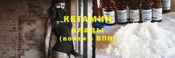 стаф Заводоуковск