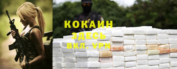 сатива Абдулино