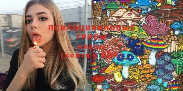не бодяженный Абаза