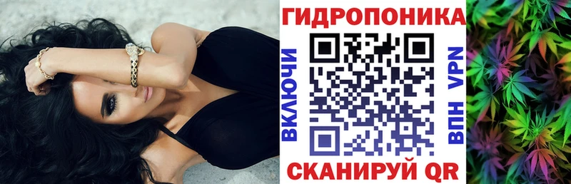 Конопля SATIVA & INDICA  Кочубеевское 